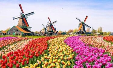 NETHERLANDS
