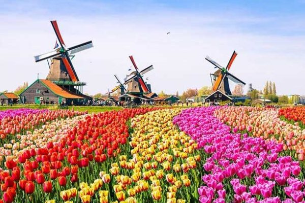 NETHERLANDS
